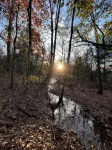 Tranquil cabin with AC and 2 creeks on secluded 5 acres with WiFi - 2-Star