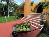 PARAISO BEACHFRONT VILLA 4BD RIVIERA MAYA PARADISE - Villas
