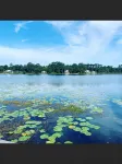 Nice quiet lakefront home with great fishing !