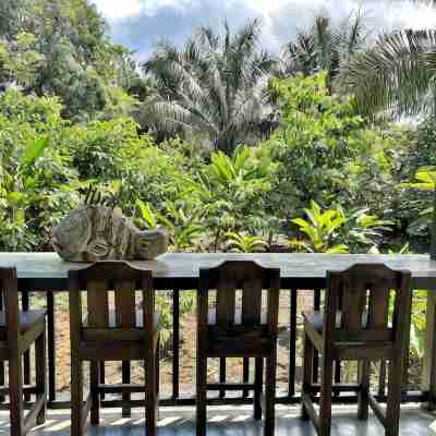 Kraken Cabin-escape in the jungle, abundance of wildlife,  walk to Golfito Bay. Others
