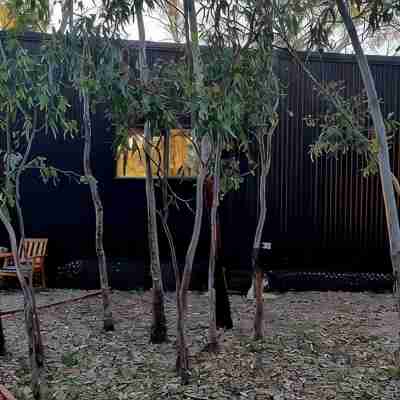 Tiny House/Retreat in Adelaide Hills. Secluded, peaceful, country views. Hotel Exterior