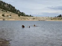Pony, MT — Dogs & Horses OK — on Private Creek