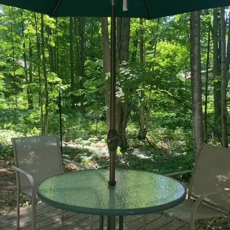 Harbor Springs 2 Bedroom Cottage Close to Boyne Highlands & Nubs Nob