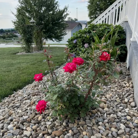 Jemma’s Hideaway in Amish Country