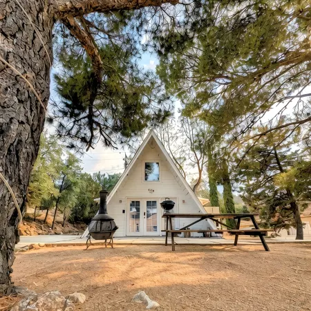 Cozy 1960s A- Frame with Mountain Views