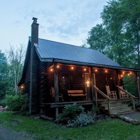 Cozy Cabin tucked in the woods. Pet-Friendly! 7 minutes from Ellicotville!