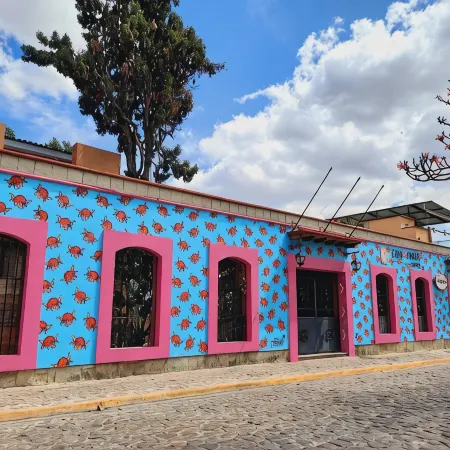 Hotel Casa Arnel