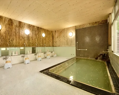 Oze Kogen Hotel Hotels in Katashina