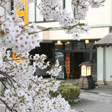 Sakuraya