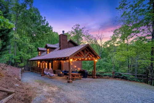 Arcade Cabin with Sauna, Cold Plunge, Hot Tub, Putting Green, and Mountain View - Mountain view