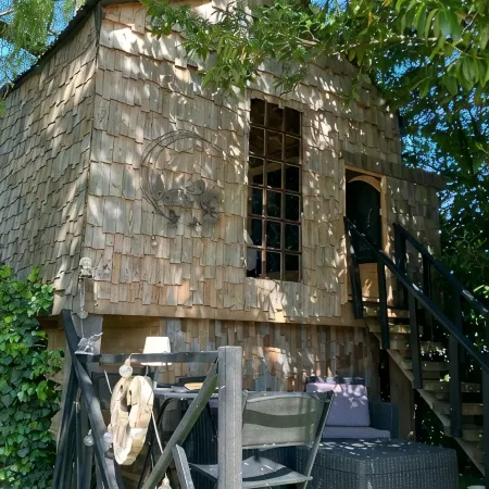 Charming tree house