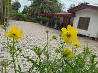 Sun Ceylon Homestay - Parking