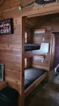 Petoskey - Quaint Cabin in a secluded wooded setting. - Alppimaja