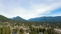 Elegant and Roomy Forest Getaway - 2-Star