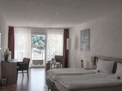 RheinHotel Arte