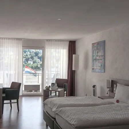 RheinHotel Arte