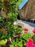 Bed and Breakfast Belvedere - Pet friendly