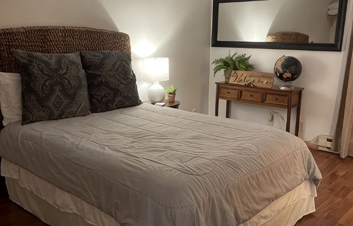 Unique apartment in historic downtown