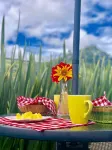 La Herradura Lodge - Breakfast