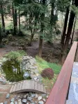 Large house Up in the Redwoods perfect for large families. Pet friendly. - Wifi
