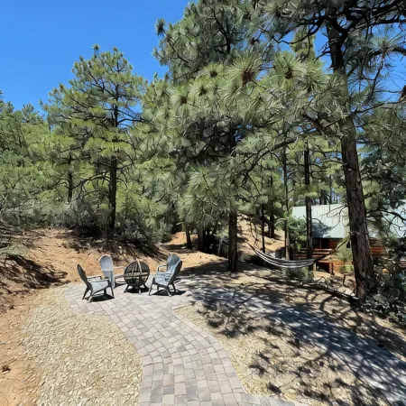 Cozy Cabin in the Pines with Views!