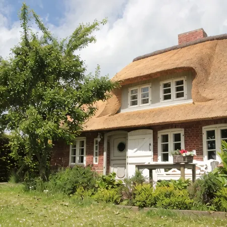 Fantastic thatched cottage on the North Sea coast with a separate sauna house