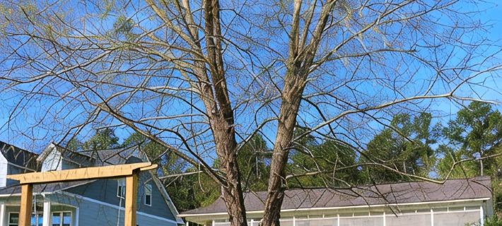 Lakefront Cottage on Lake Marion Hotels in Clarendon County