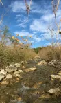 Secluded, shady river front Get-away cabin - Chalets