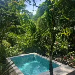 Geckoes Lodge - Pools