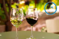 Quinta da Pousada Casa de Campo - Разрешено размещения с домашними животными