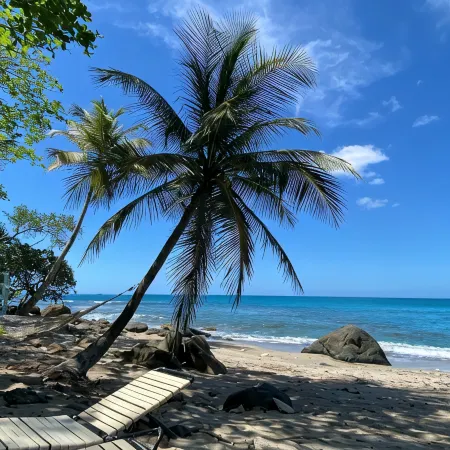 The Beach House on St. Thomas with Secluded Private Sand Beach