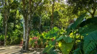 Puluong Ecocharm