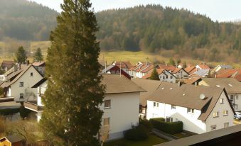Schwarzwaldhotel Sonne
