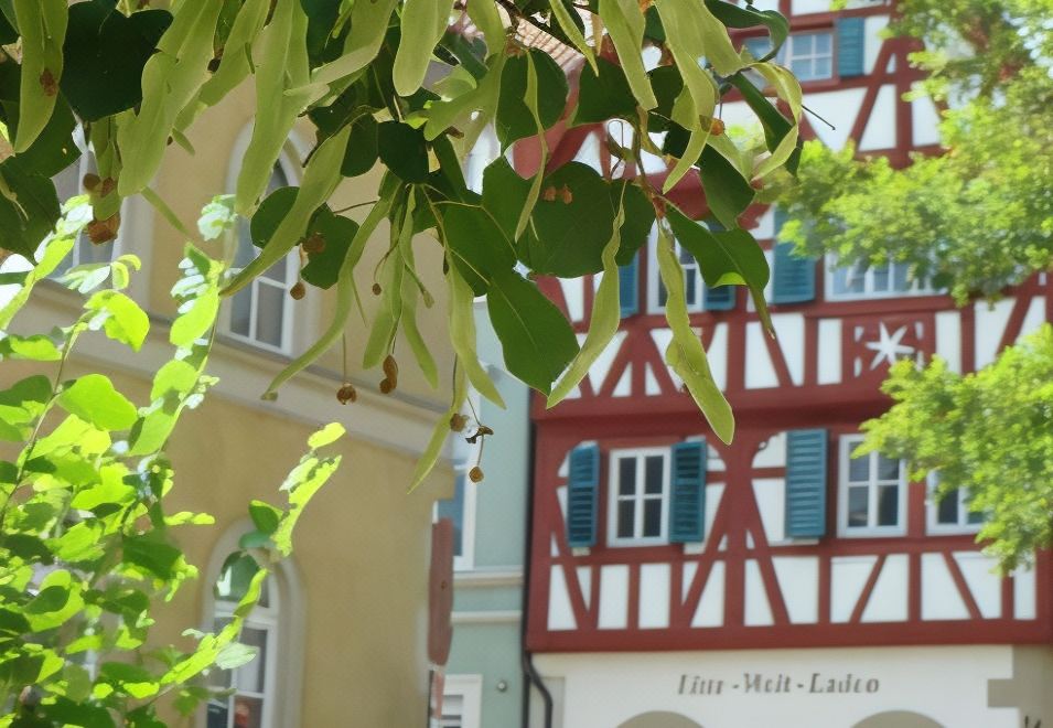 a building with a red and white facade is shown in front of a tree with green leaves at Bayerischer Hof