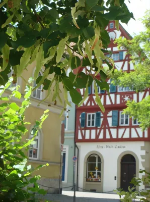 Bayerischer Hof Hotels in Kitzingen
