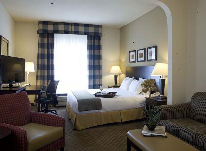 Holiday Inn Express & Suites Atlanta-Emory University Area