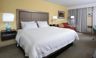 Hampton Inn Charlotte-North/Lake Norman