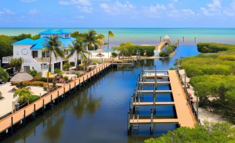 a large body of water with a dock extending into it , surrounded by palm trees at Ocean Pointe Suites at Key Largo