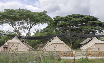 The Acacia Glamping Park