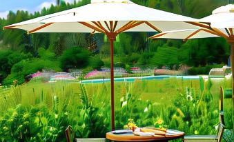 Lavandeira Douro Nature & Wellness