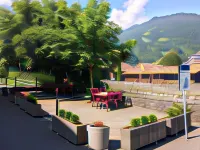Historic Hotel Steinbock Hotels in Wilderswil