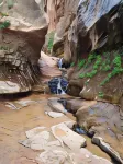 Zion’s Cozy Cabin's Hotels in Colorado City