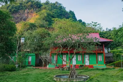 Sakura House - Hoa Ban