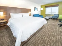 Holiday Inn Express & Suites FORT MYERS AIRPORT by IHG Hotels in Lee County