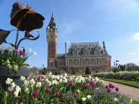 Domitys - le Fil de Soie