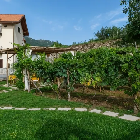 Il Vigneto di Nonno Pietro