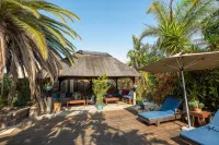 Gecko Ridge Hotels near Swakopmund Camel Farm