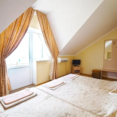 Pushkin Hotel - 2星級
