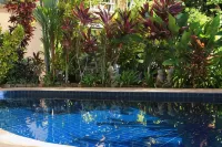 Nanga Damai Homestay - Ocean View