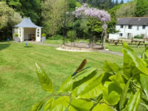 Fox & Hounds Country Hotel Hotels in Mid Devon District